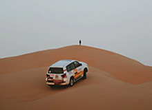 大发官方：让信任成为平台的底色