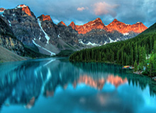 大发官方：让信任成为平台的底色